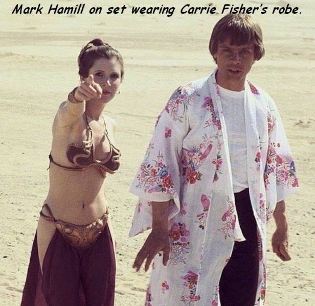 daily picdump 101 pics 11.html - 101 HD Photos | Premium Gallery 2018