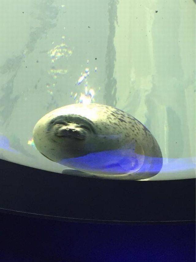 daily picdump 101 pics 11.html - 101 HD Photos | Premium Gallery 2018