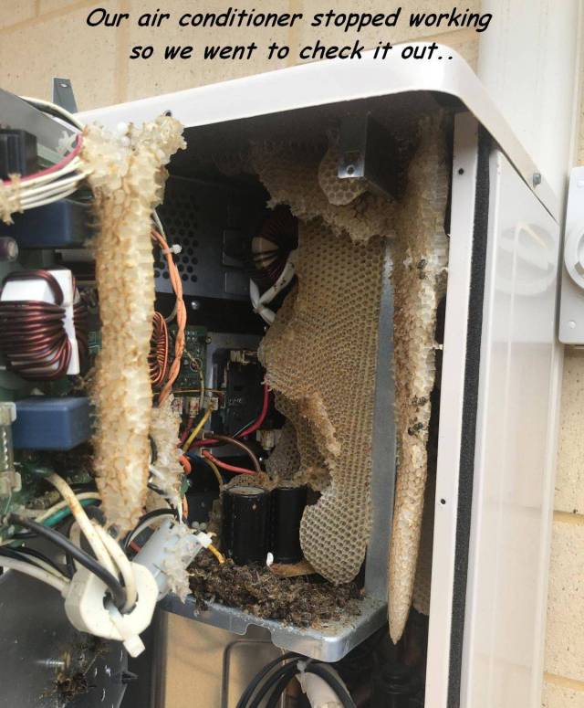 daily picdump 101 pics 11.html - 101 HD Photos | Premium Gallery 2018