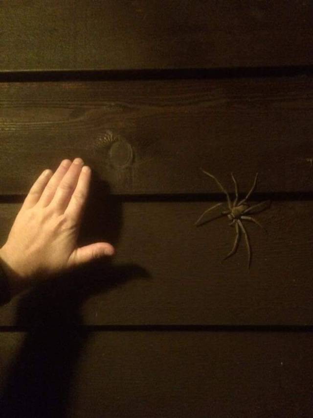 daily picdump 101 pics 11.html - 101 HD Photos | Premium Gallery 2018