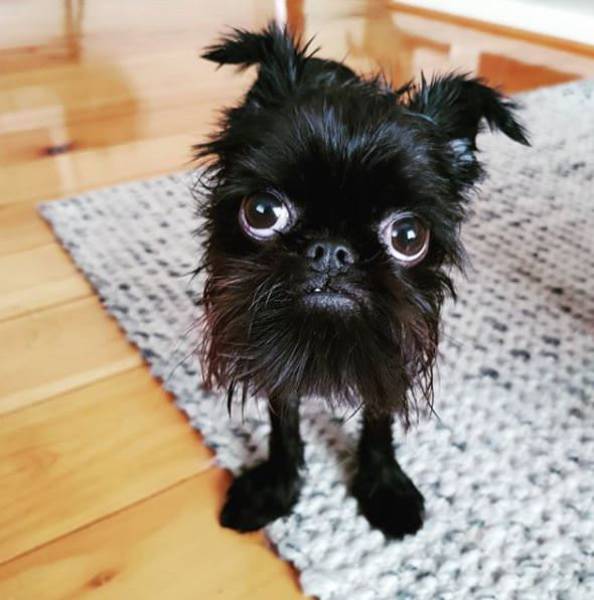 morning picdump 50 pics 6.html - 50 HD Photos | Premium Gallery 2018