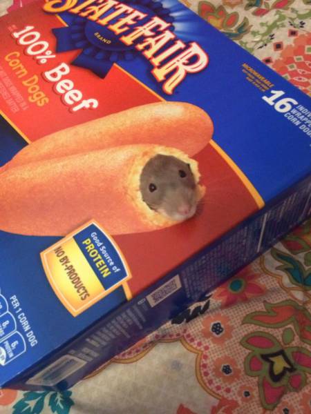 morning picdump 50 pics 6.html - 50 HD Photos | Premium Gallery 2018