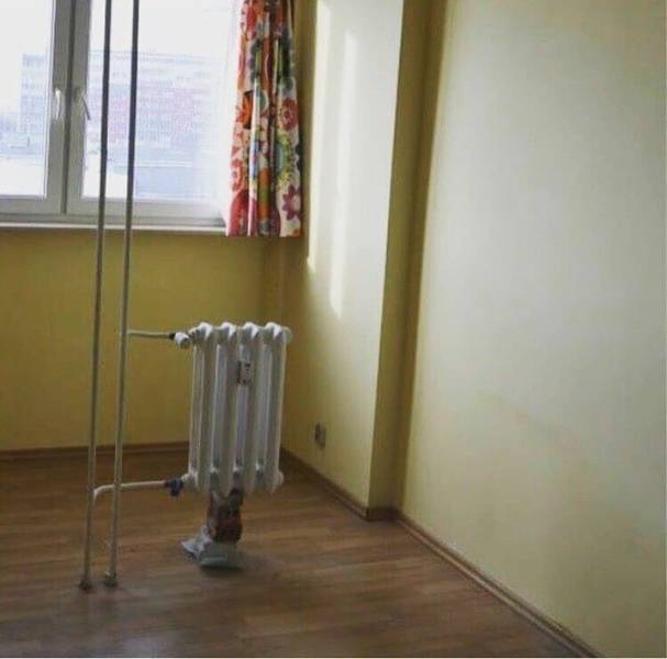 morning picdump 50 pics 6.html - 50 HD Photos | Premium Gallery 2018