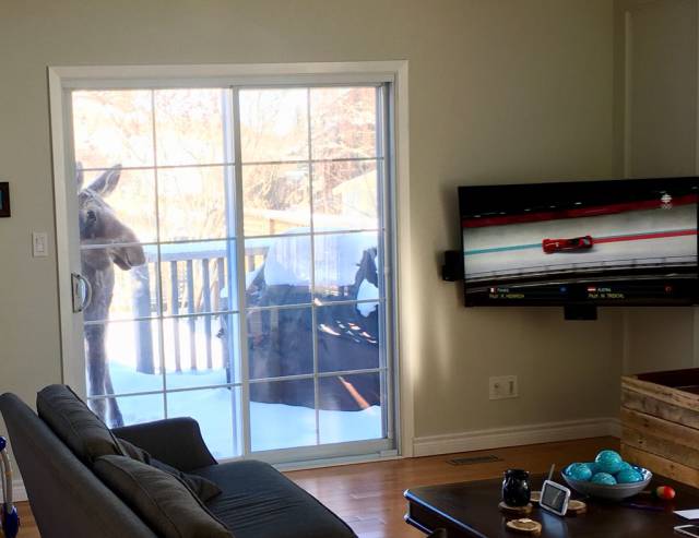 morning picdump 52 pics 25.html - 52 HD Photos | Premium Gallery 2018