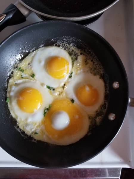 morning picdump 52 pics 25.html - 52 HD Photos | Premium Gallery 2018
