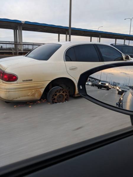 Morning Picdump