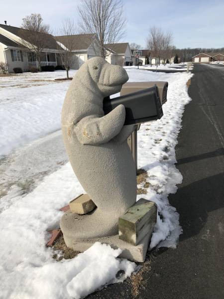 Morning Picdump