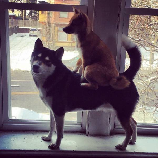 Morning Picdump