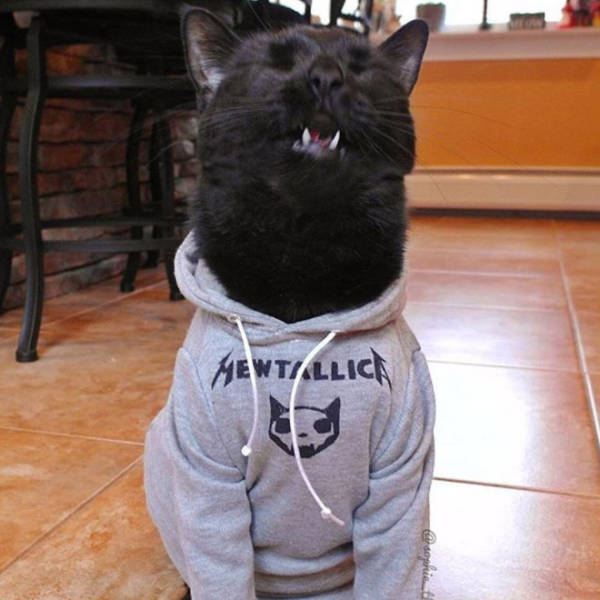 morning picdump 53 pics 27.html - 53 HD Photos | Premium Gallery 2018