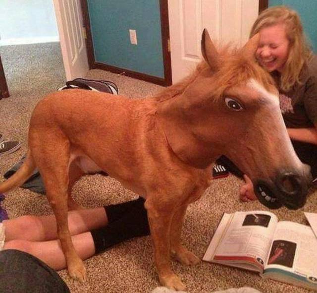 morning picdump 53 pics 27.html - 53 HD Photos | Premium Gallery 2018