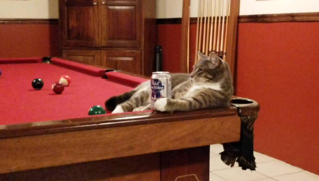 morning picdump 53 pics 27.html - 53 HD Photos | Premium Gallery 2018