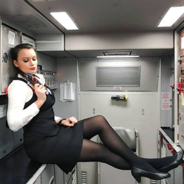 The Beauties Of The Skies