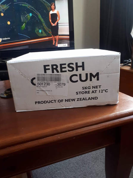 morning picdump 50 pics 42.html - 50 HD Photos | Premium Gallery 2018