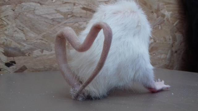 morning picdump 50 pics 42.html - 50 HD Photos | Premium Gallery 2018