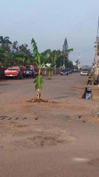 morning picdump 50 pics 42.html - 50 HD Photos | Premium Gallery 2018