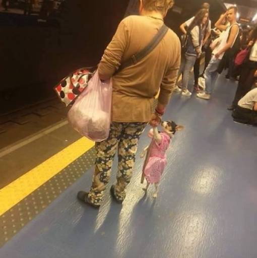 morning picdump 50 pics 42.html - 50 HD Photos | Premium Gallery 2018