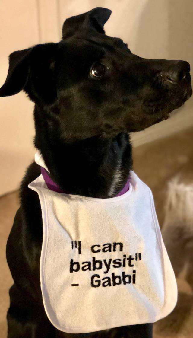 morning picdump 50 pics 42.html - 50 HD Photos | Premium Gallery 2018