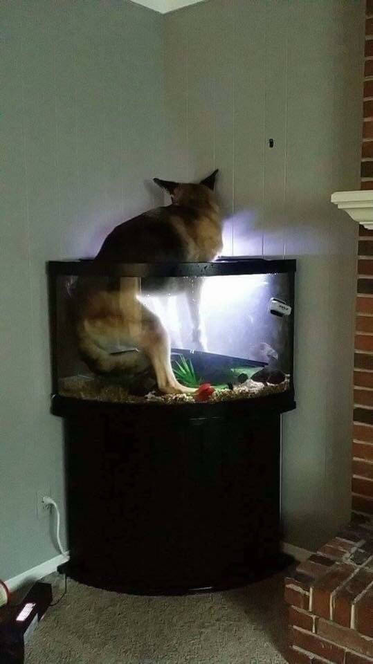 morning picdump 50 pics 42.html - 50 HD Photos | Premium Gallery 2018