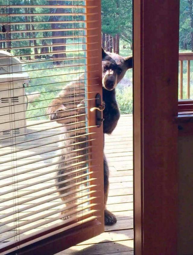 Daily Picdump [WEEKEND EDITION]