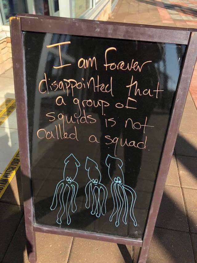 daily picdump weekend edition 61 pics 21.html - 61 HD Photos | Premium Gallery 2018