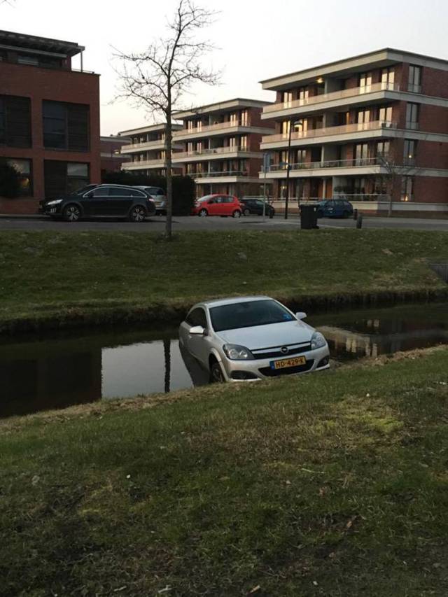 daily picdump weekend edition 61 pics 21.html - 61 HD Photos | Premium Gallery 2018