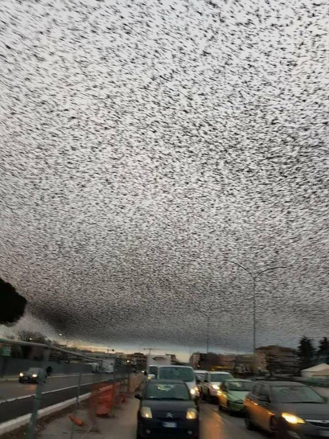 daily picdump weekend edition 61 pics 21.html - 61 HD Photos | Premium Gallery 2018