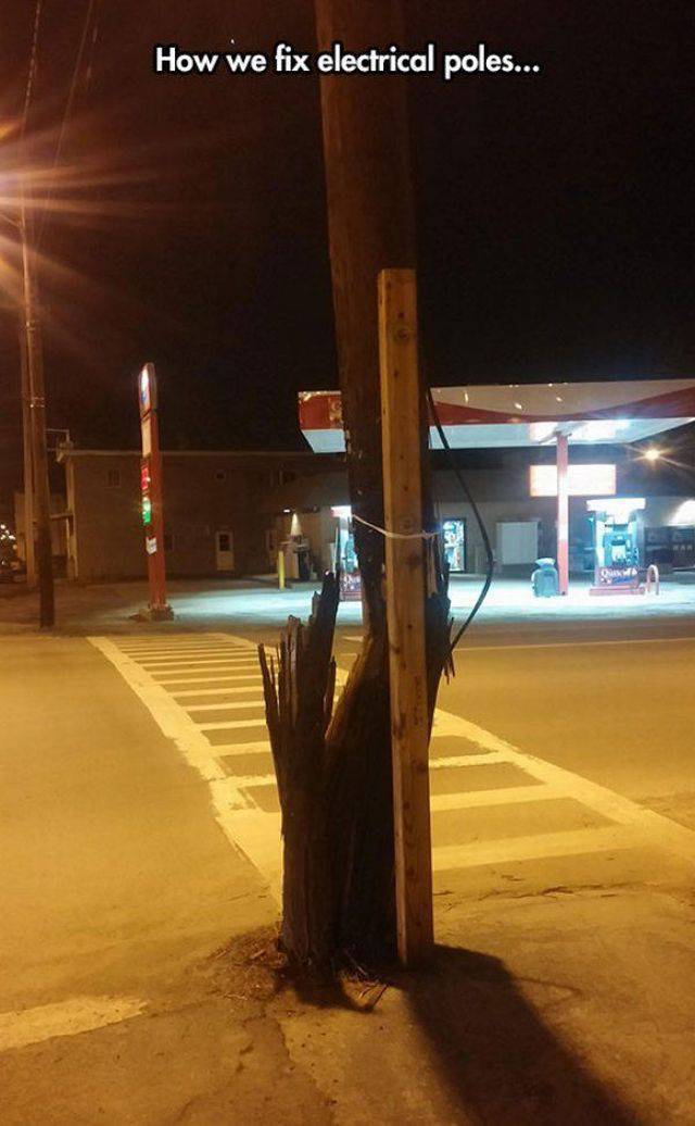 daily picdump weekend edition 61 pics 21.html - 61 HD Photos | Premium Gallery 2018