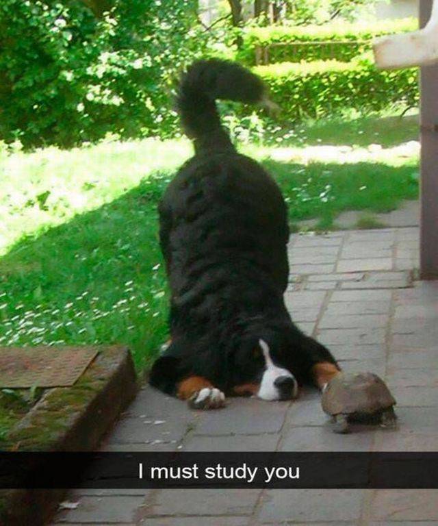 Daily Picdump