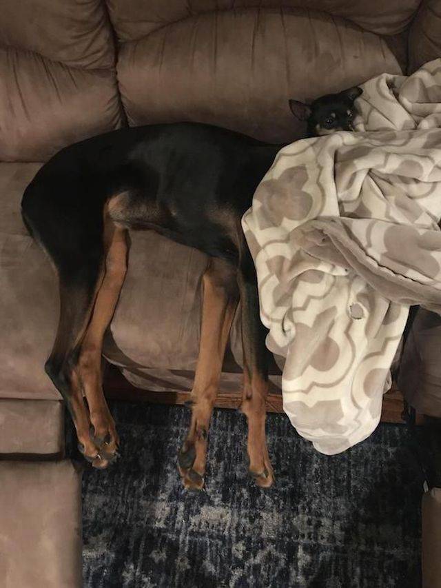 daily picdump 96 pics 32.html - 96 HD Photos | Premium Gallery 2018