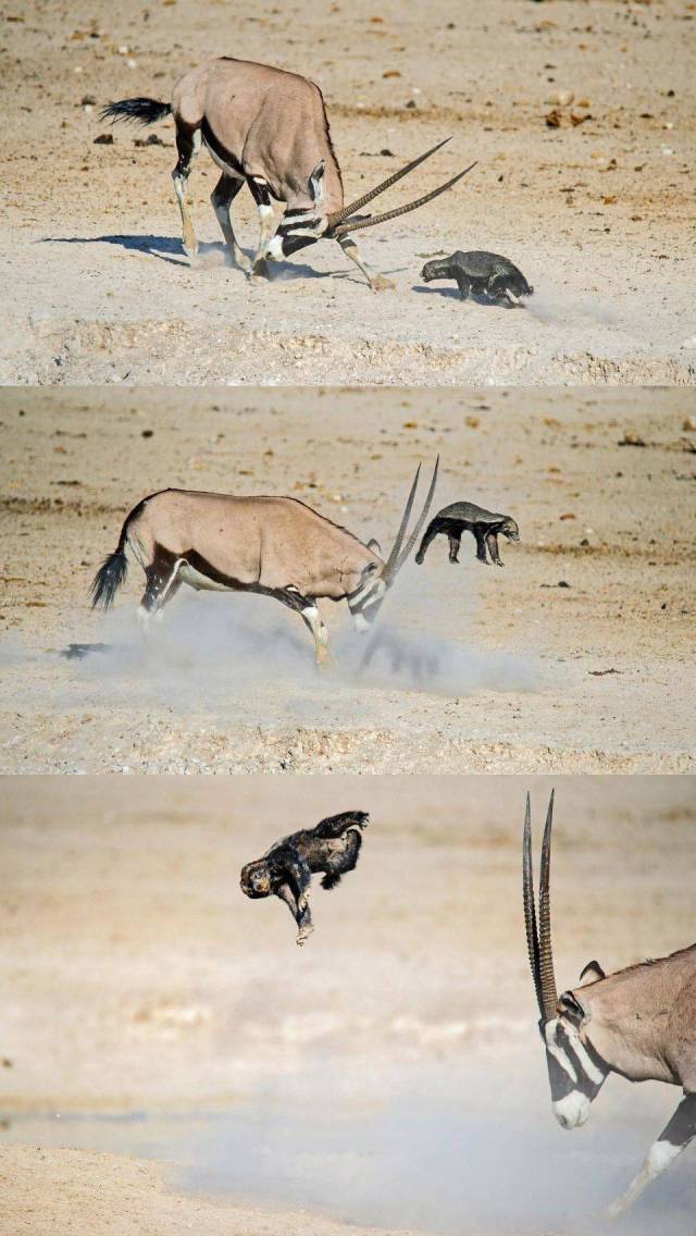 daily picdump 96 pics 32.html - 96 HD Photos | Premium Gallery 2018