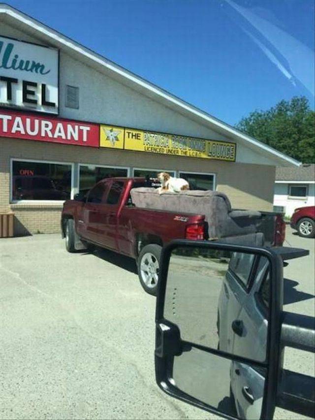 daily picdump 96 pics 32.html - 96 HD Photos | Premium Gallery 2018