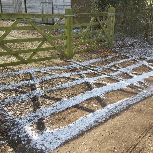 morning picdump 51 pics 1.html - 51 HD Photos | Premium Gallery 2018