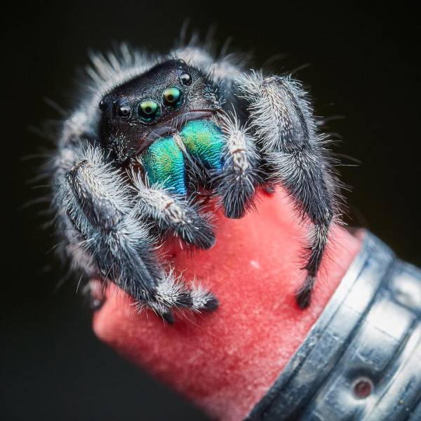 morning picdump 51 pics 1.html - 51 HD Photos | Premium Gallery 2018