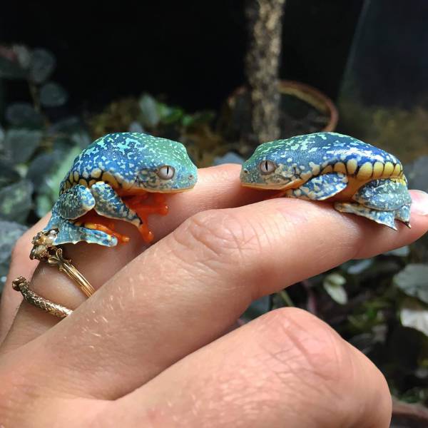 morning picdump 51 pics 1.html - 51 HD Photos | Premium Gallery 2018