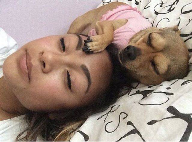 daily picdump 96 pics 39.html - 96 HD Photos | Premium Gallery 2018