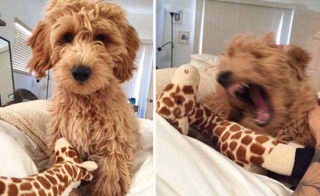 daily picdump 96 pics 39.html - 96 HD Photos | Premium Gallery 2018