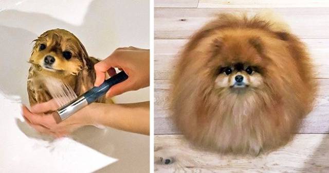 daily picdump 96 pics 39.html - 96 HD Photos | Premium Gallery 2018