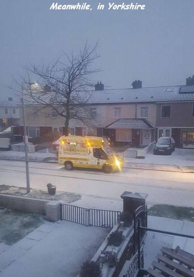 daily picdump 96 pics 39.html - 96 HD Photos | Premium Gallery 2018