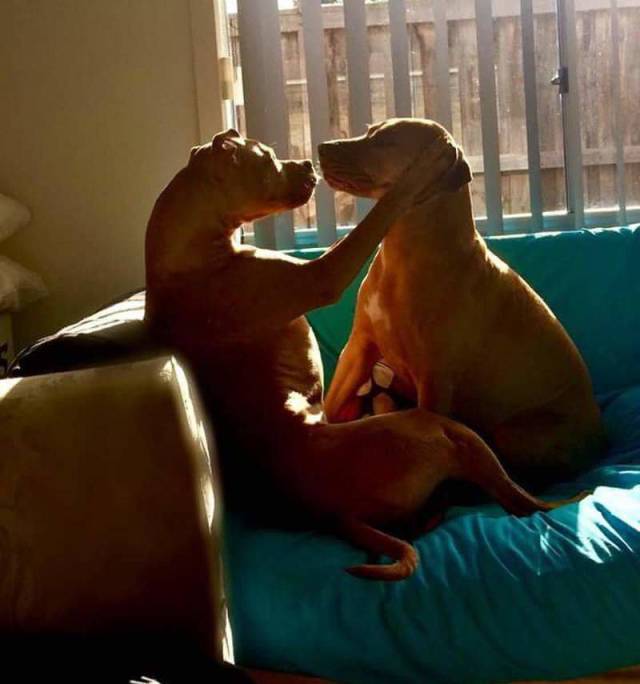 daily picdump 96 pics 39.html - 96 HD Photos | Premium Gallery 2018