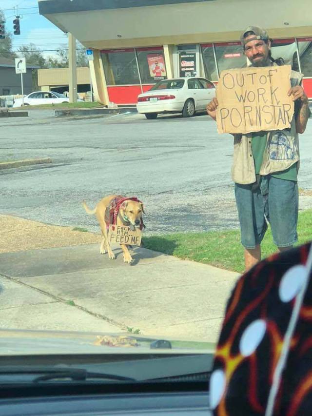 daily picdump 96 pics 39.html - 96 HD Photos | Premium Gallery 2018