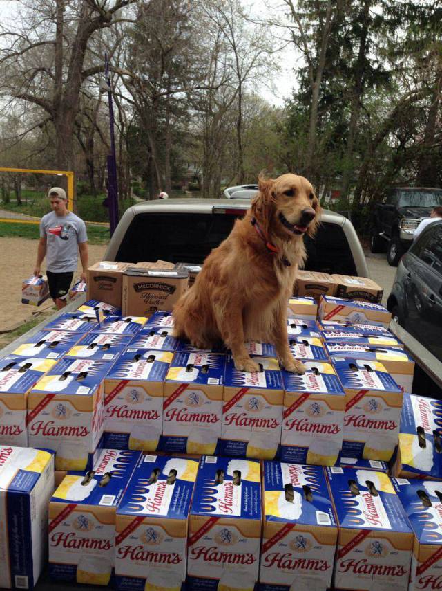 daily picdump 96 pics 39.html - 96 HD Photos | Premium Gallery 2018