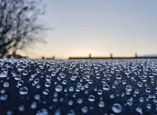 morning picdump 50 pics 7.html - 50 HD Photos | Premium Gallery 2018