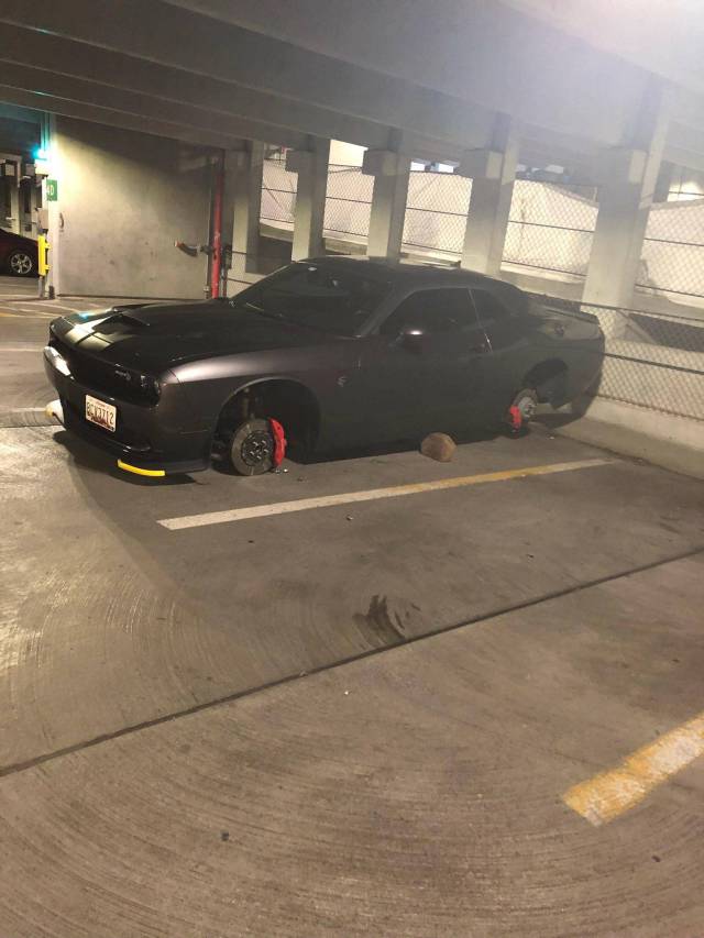 morning picdump 50 pics 7.html - 50 HD Photos | Premium Gallery 2018