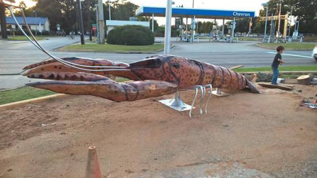 morning picdump 50 pics 7.html - 50 HD Photos | Premium Gallery 2018