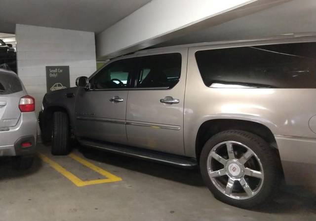 morning picdump 51 pics 8.html - 51 HD Photos | Premium Gallery 2018