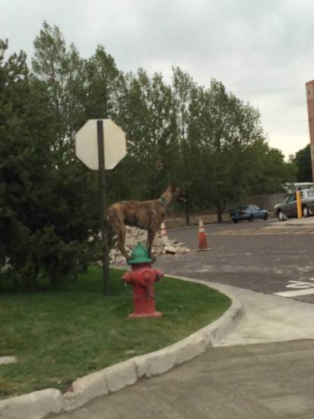 morning picdump 51 pics 8.html - 51 HD Photos | Premium Gallery 2018