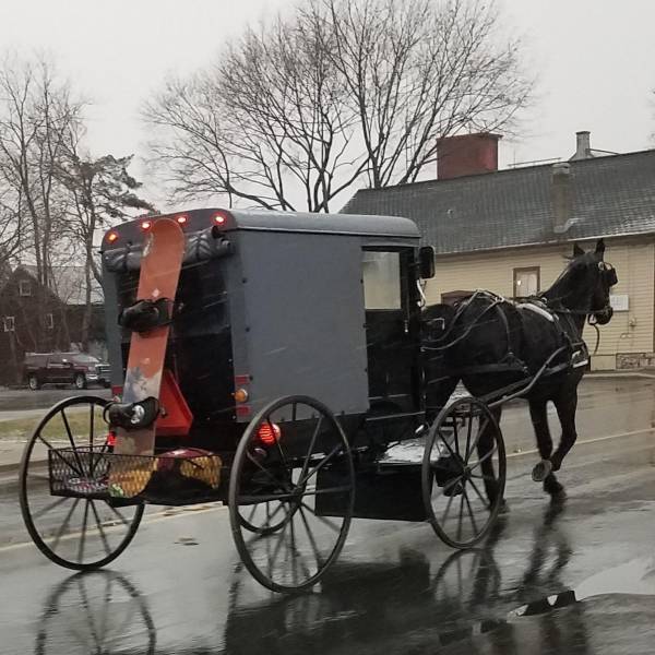 morning picdump 51 pics 8.html - 51 HD Photos | Premium Gallery 2018