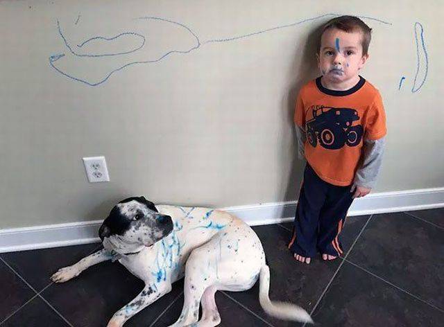 daily picdump 98 pics 35.html - 98 HD Photos | Premium Gallery 2018