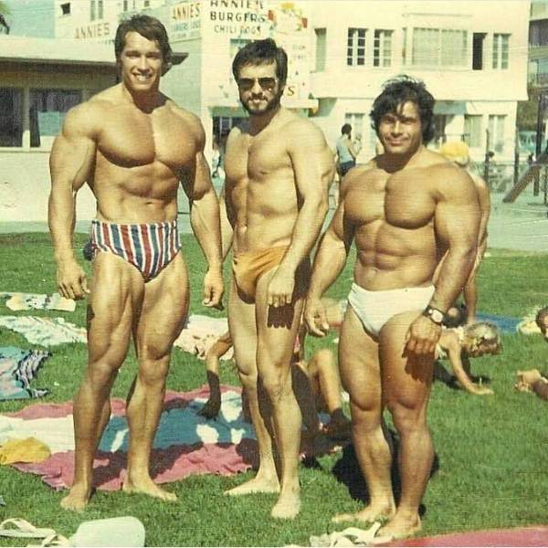 daily picdump 98 pics 35.html - 98 HD Photos | Premium Gallery 2018
