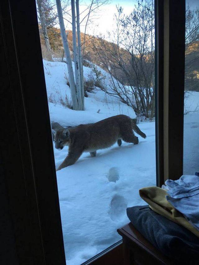 Daily Picdump